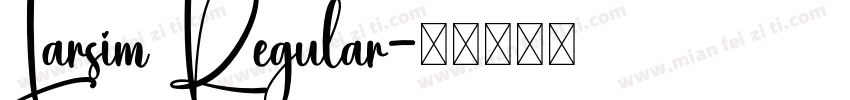 Larsim Regular字体转换